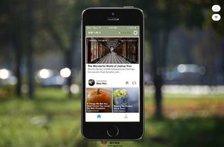 创意无国界 探秘国外创意网站大全及egouz上网导航指南